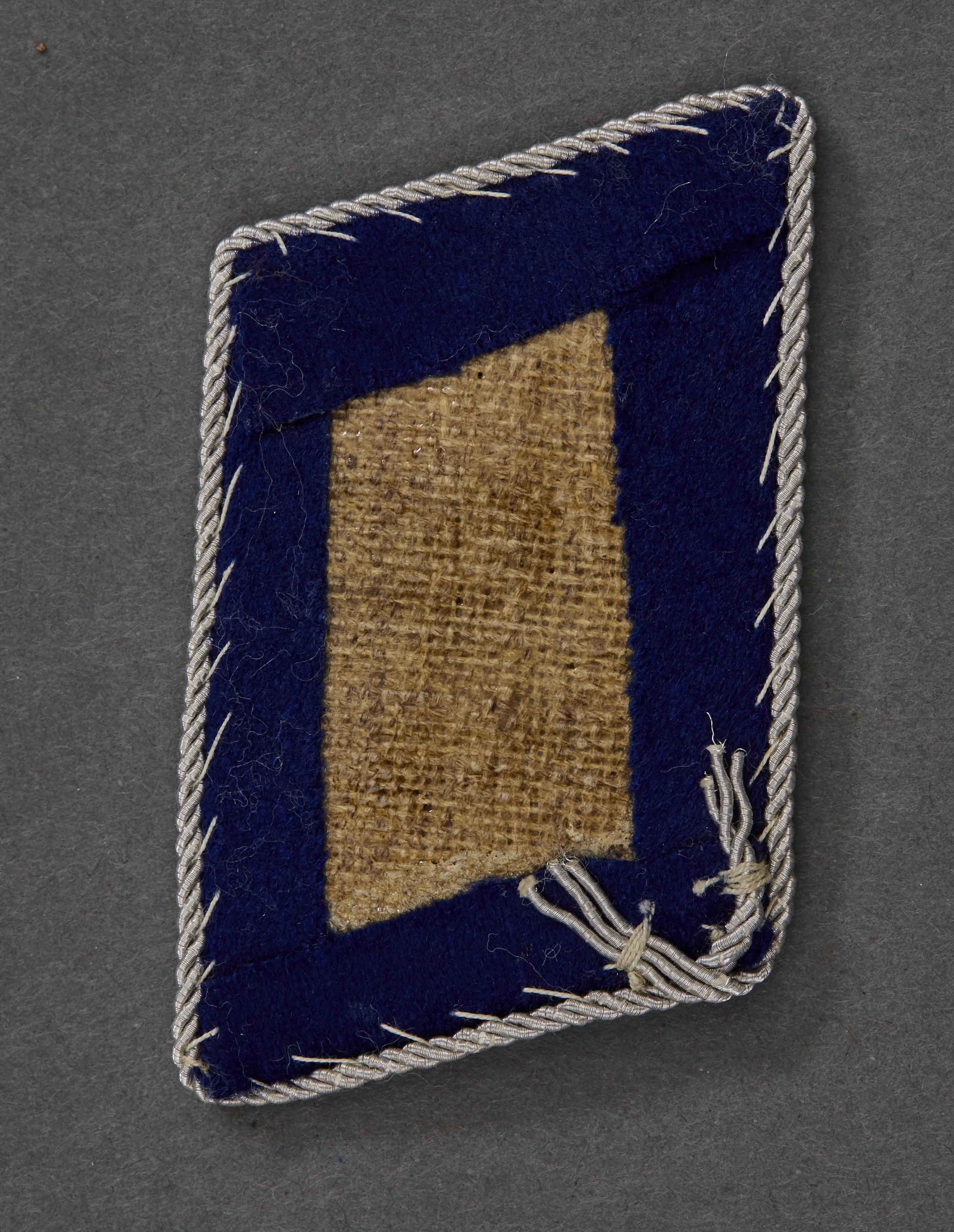 Luftwaffe Assistenzarzt/Leutnaunt Tab