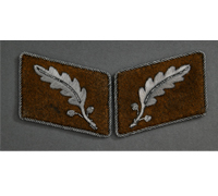 SA-Standartenführer Collar Tabs