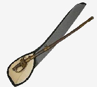 Sword Case