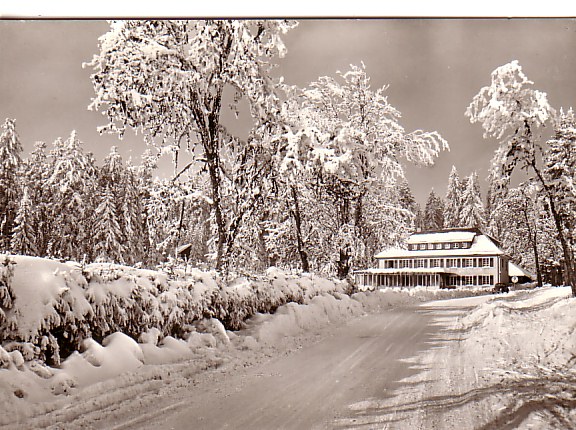 Photo Winter Scene of Ski School Postcard