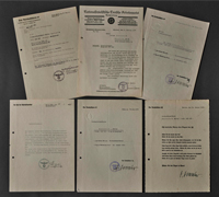 SS-Obersturmbannführer Walter Haensch Document Group