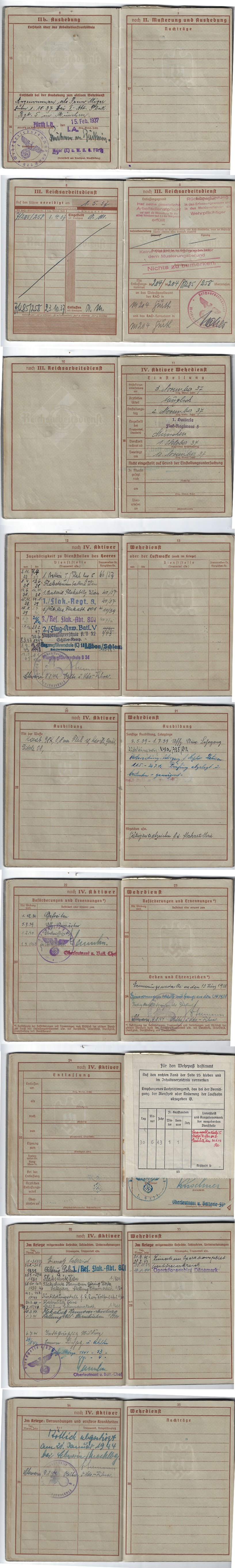 NSFK Luftwaffe Document Grouping