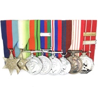 H.E. Swanson's Canadian 8 Place Medal Bar