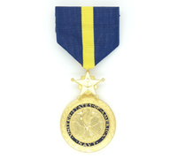 United States - Navy Distinguished Service Medal