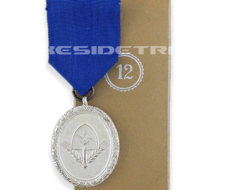 Cased RAD 12 Year Long Service Medal