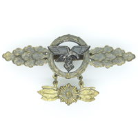 Luftwaffe Transport Clasp in Gold with Pendant