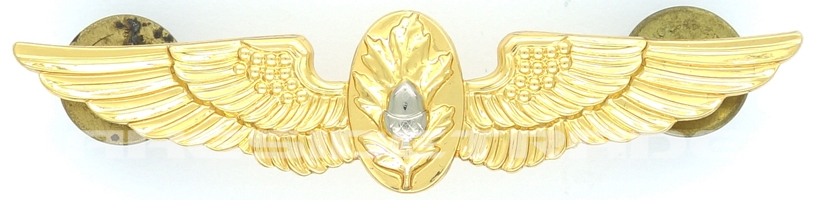 United States - Naval Flight Surgeon Wing Type II