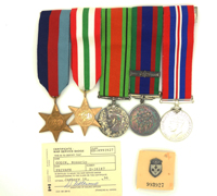 Rosario Godin's Awards and Service Records