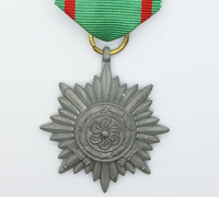 Gold 2nd Class Ostvolk Medal without Swords