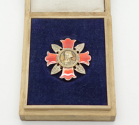 Cased Type 2 Wound Badge