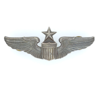 US, WW2 – Army Air Corps Senior Pilot Wing by Josten