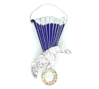 Poland - Force Instructor Parachute Wing