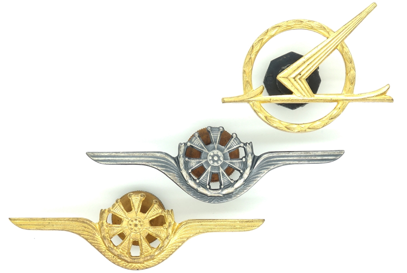 Poland - Three Air Force Badges