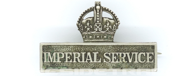 Territorial Force Imperial Service Badge
