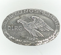 DLRG Pin