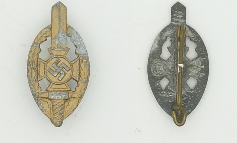 NSKOV Membership Pin