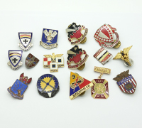 15pc Distinctive Unit Insignia Group