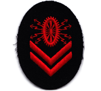 Electric Technician Grade II Specialty Trade Badge