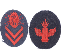 2 Navy Trade Badges
