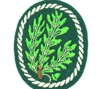 Army Jager Sleeve Badge