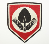 RAD Sport Shirt Insignia