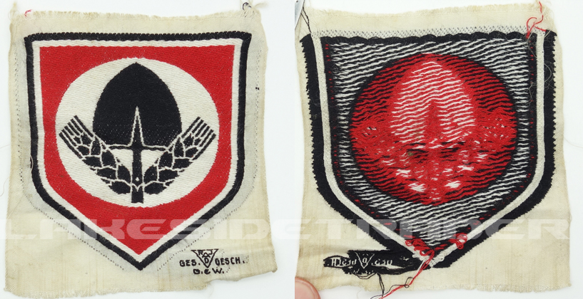 RAD Arm Patch