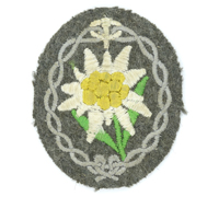 Mountain Troop Sleeve Edelweiss