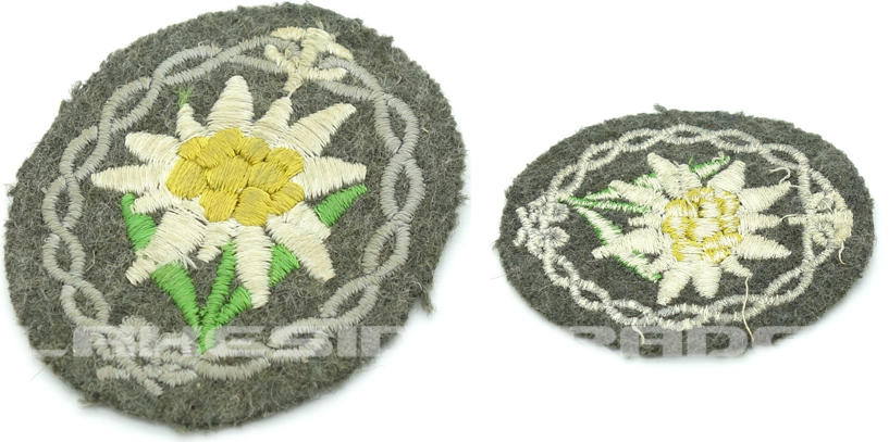 Mountain Troop Sleeve Edelweiss