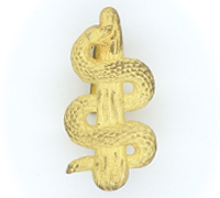 Medical Personnel Shoulder Board Cypher