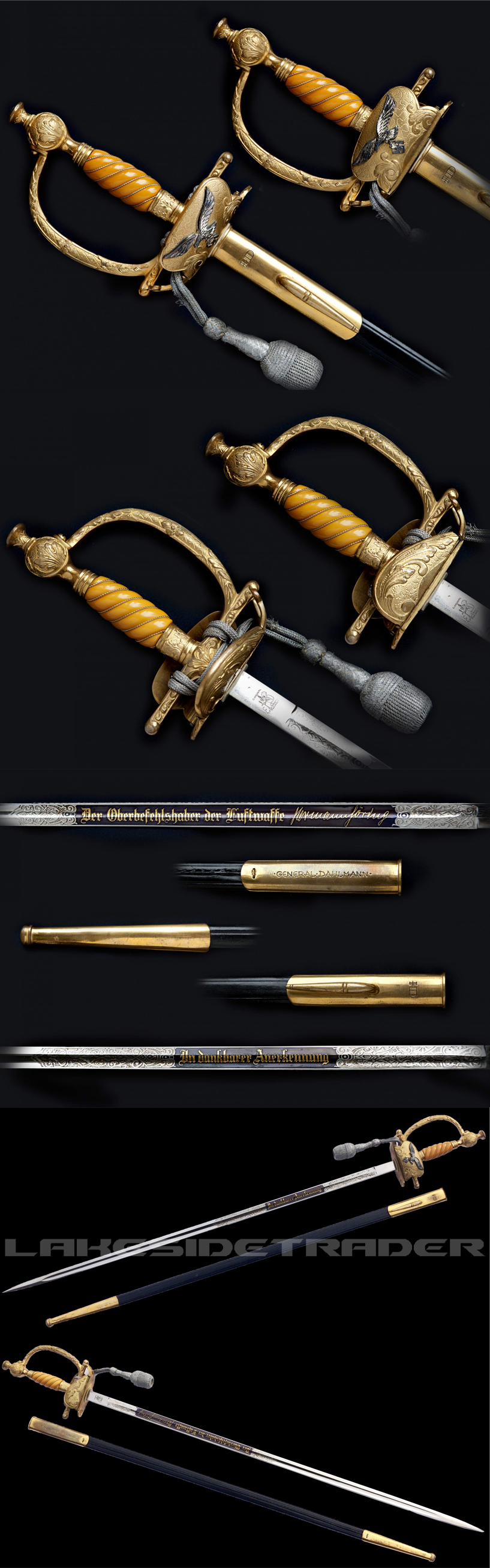 Hermann Dahlmann Luftwaffe Generals Sword