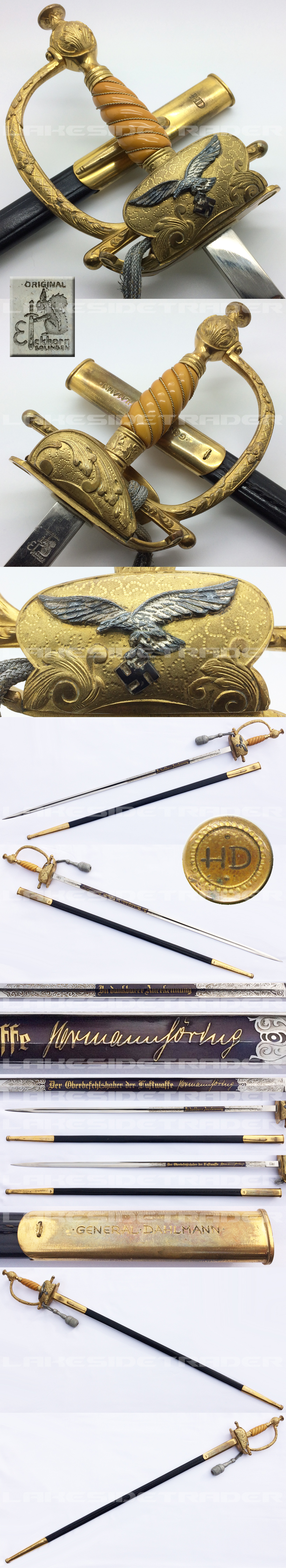 Hermann Dahlmann Luftwaffe Generals Sword