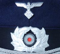 TENO Officer Visor Insignia